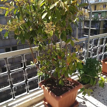 Athena'S Home, Sunny Balkony 100M From Metro! Exterior photo